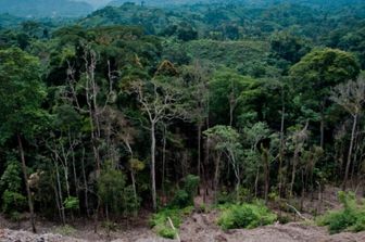 Italia e Mozambico per uno sviluppo agroforestale sostenibile