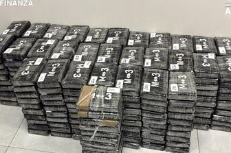 La cocaina sequestrata a Vado Ligure