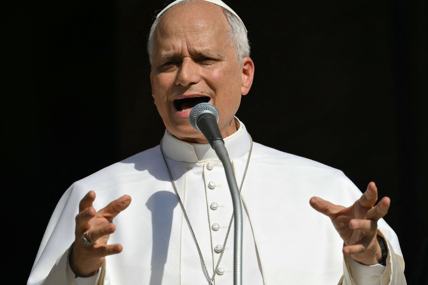 Papa Leone XIV a Pavia