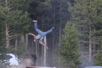 Aggressione di un bisonte a Yellowstone