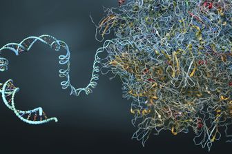 Rna illustrazione