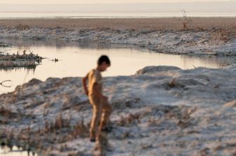 Cambiamenti climatici
