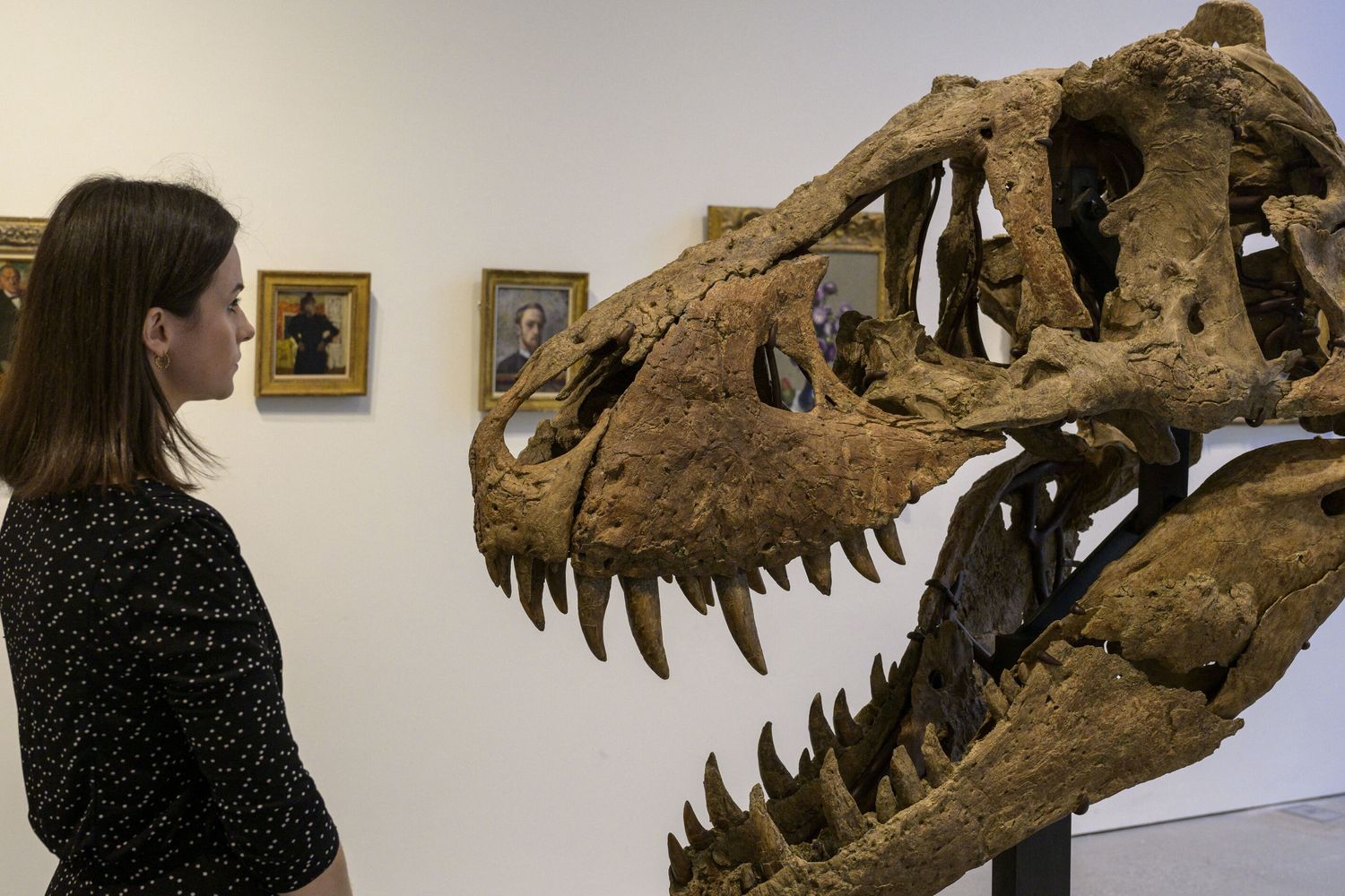 T-Rex