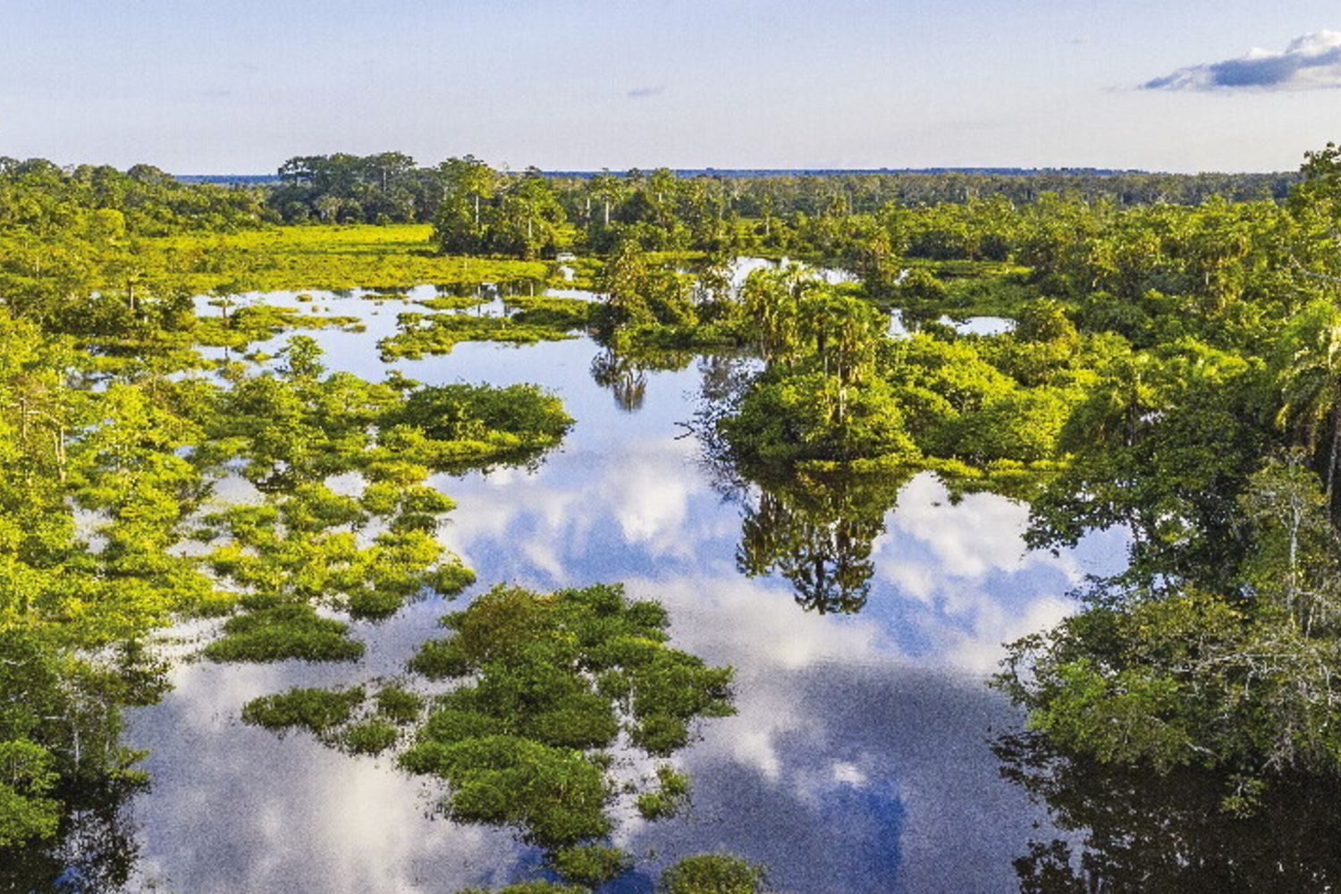 Cop30: l'Africa chiede misure prioritarie contro il cambiamento climatico
