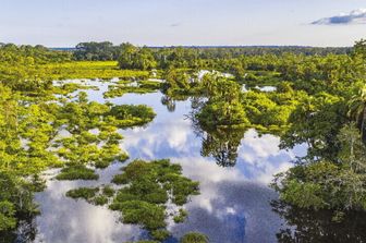 Cop30: l'Africa chiede misure prioritarie contro il cambiamento climatico