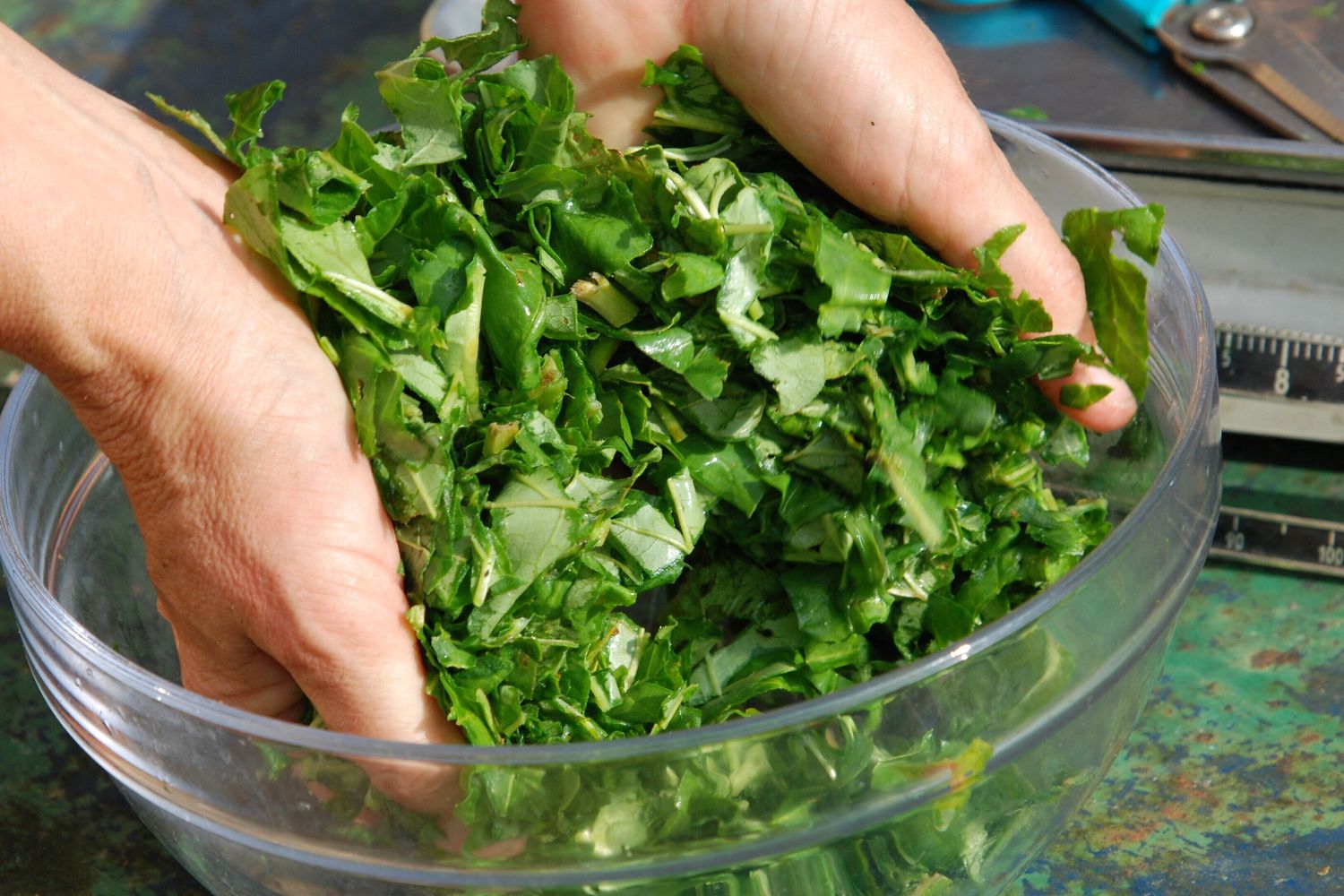Insalata in cucina
