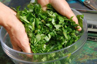 Insalata in cucina