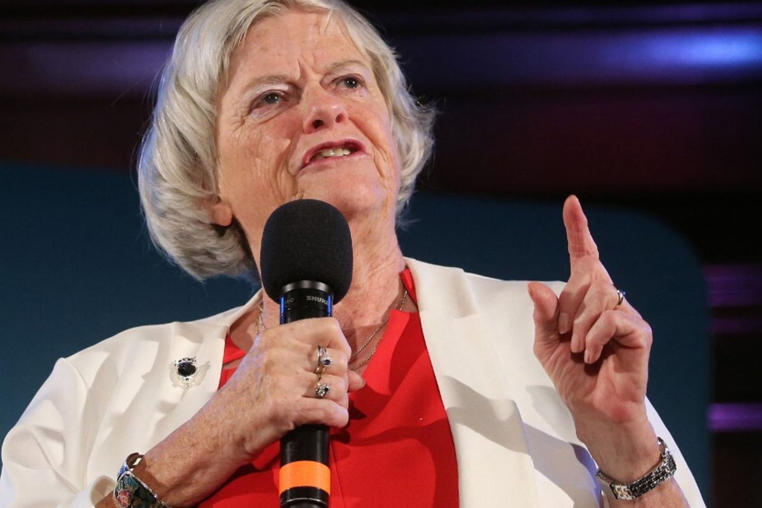 'Lady Brexit' fu uccisa da 21 coltellate