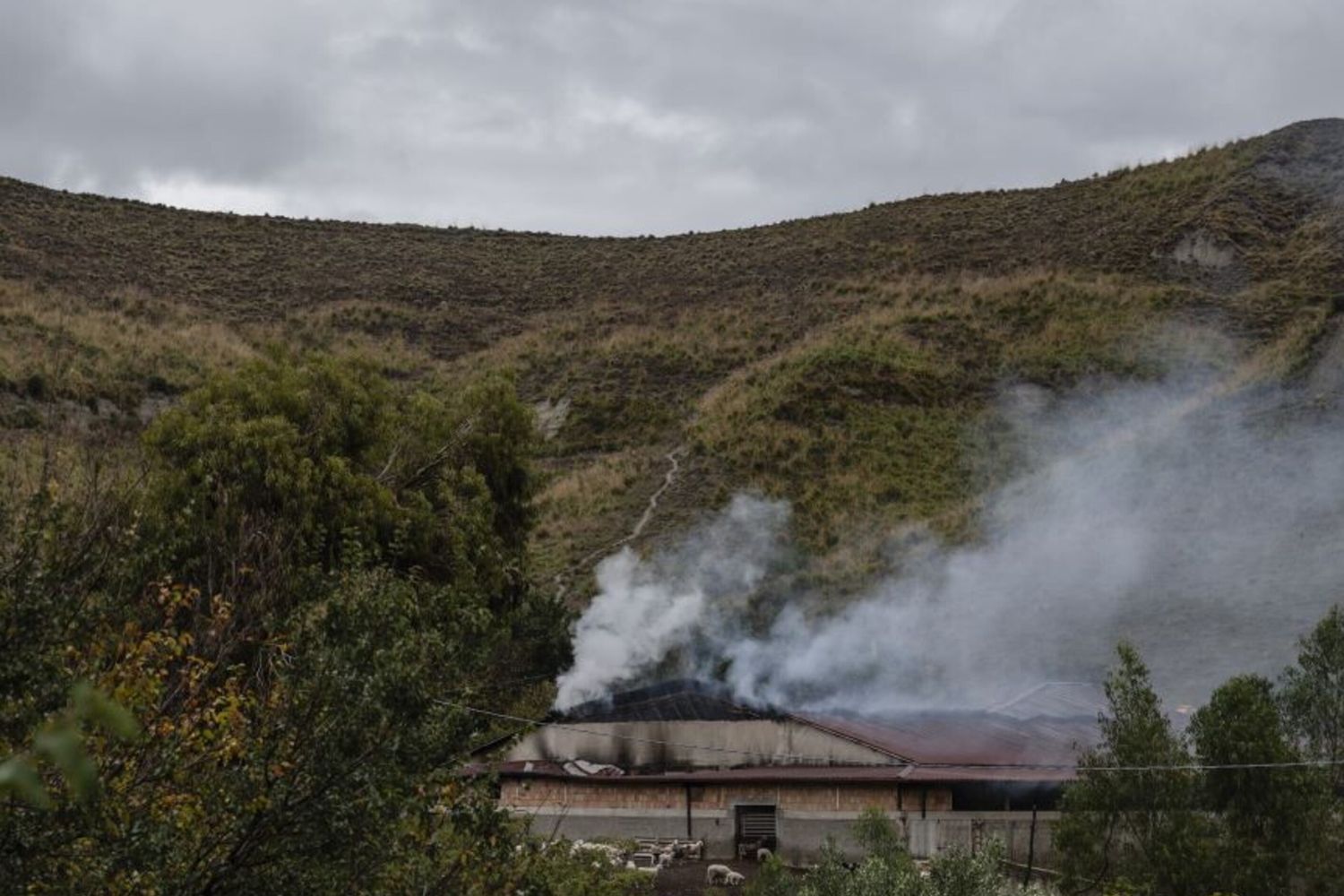 Incendio in Calabria    - immagine di archivio