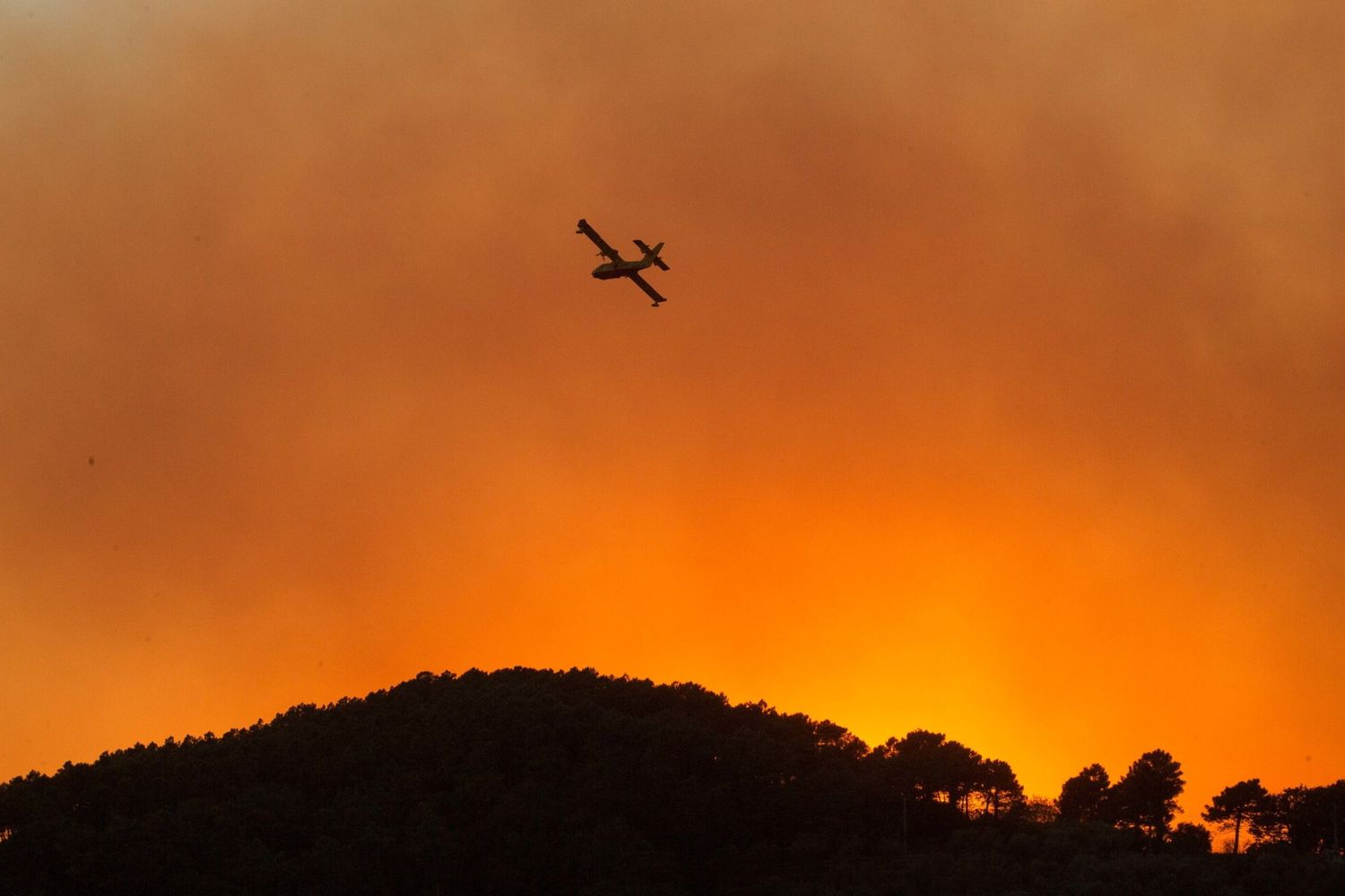 Un Canadair in volo sul rogo di Calci