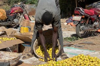 La CDP mobilise 50 millions d’euros pour la filière agroalimentaire en Afrique