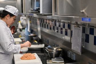Muoiono troppe oche, il Brasile dice addio al foie gras. La Francia protesta