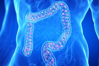 Intestino