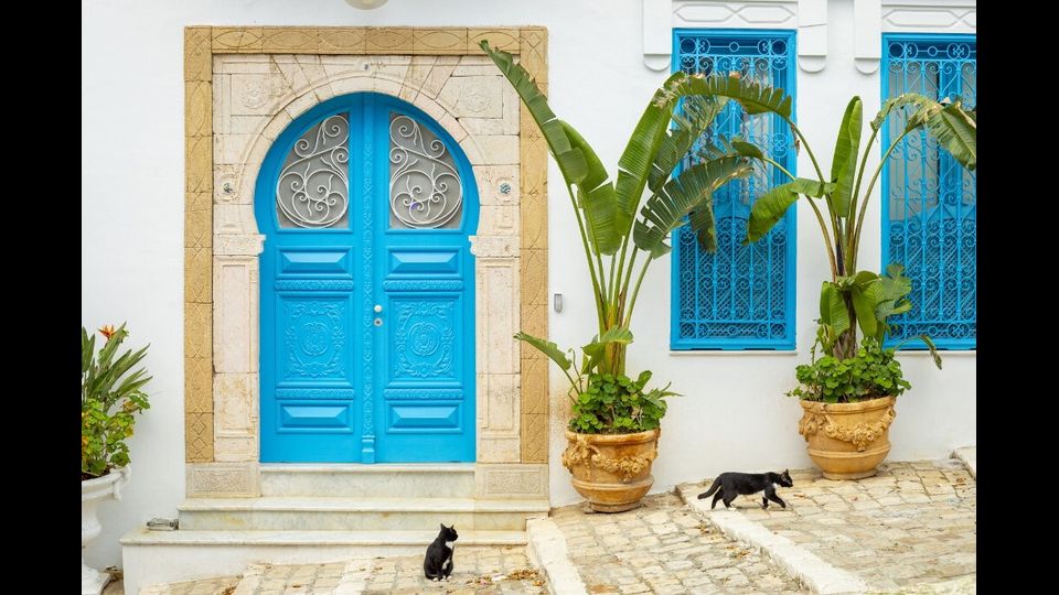 Il villaggio tunisino di Sidi Bou Said