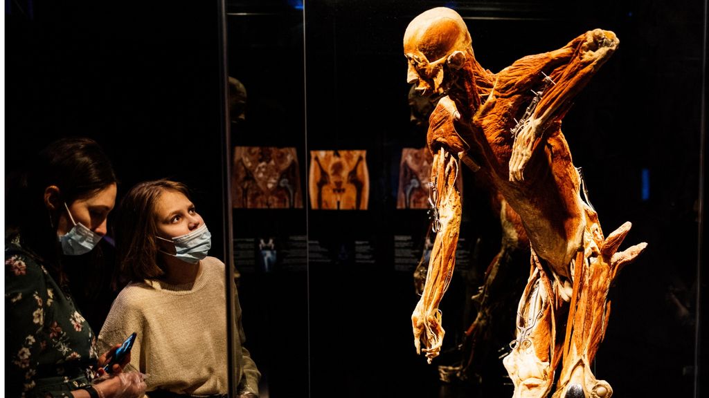 La mostra 'Body Worlds'