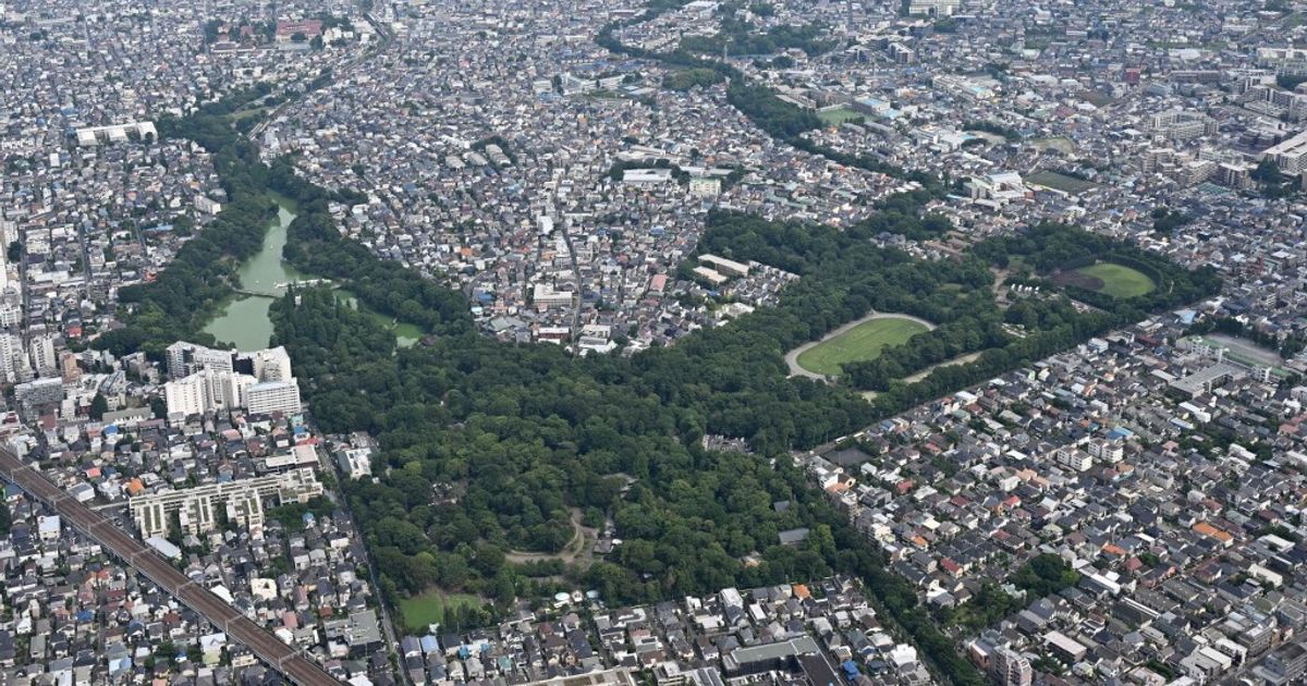 Un “cupido di Stato": a Tokyo l'app IA che ti trova l'anima gemella (e non scherza)