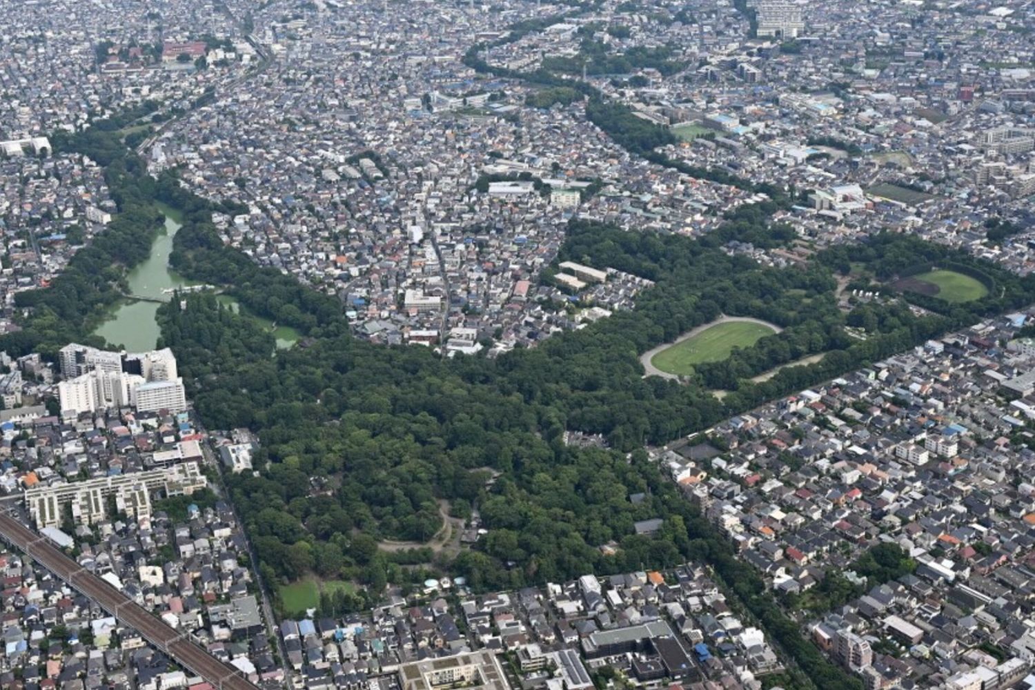 Un “cupido di Stato": a Tokyo l'app IA che ti trova l'anima gemella (e non scherza)