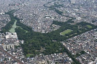 Un “cupido di Stato": a Tokyo l'app IA che ti trova l'anima gemella (e non scherza)