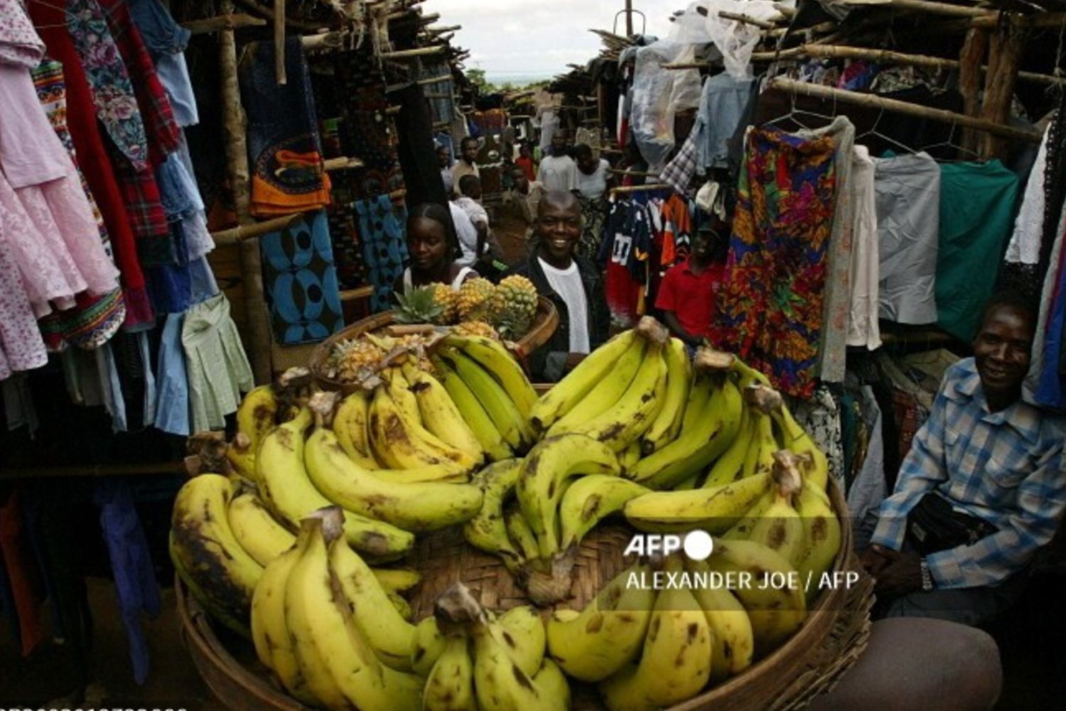 Mozambique: de l'agriculture à la santé, mission AICS