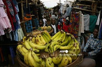 Mozambique: de l'agriculture à la santé, mission AICS