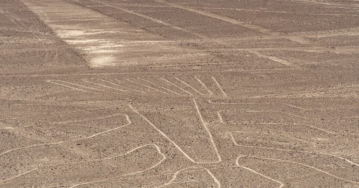 Aereo turistico precipita sulle Linee di Nazca, 13 morti tra cui 7 italiani, immagine di approfondimento
