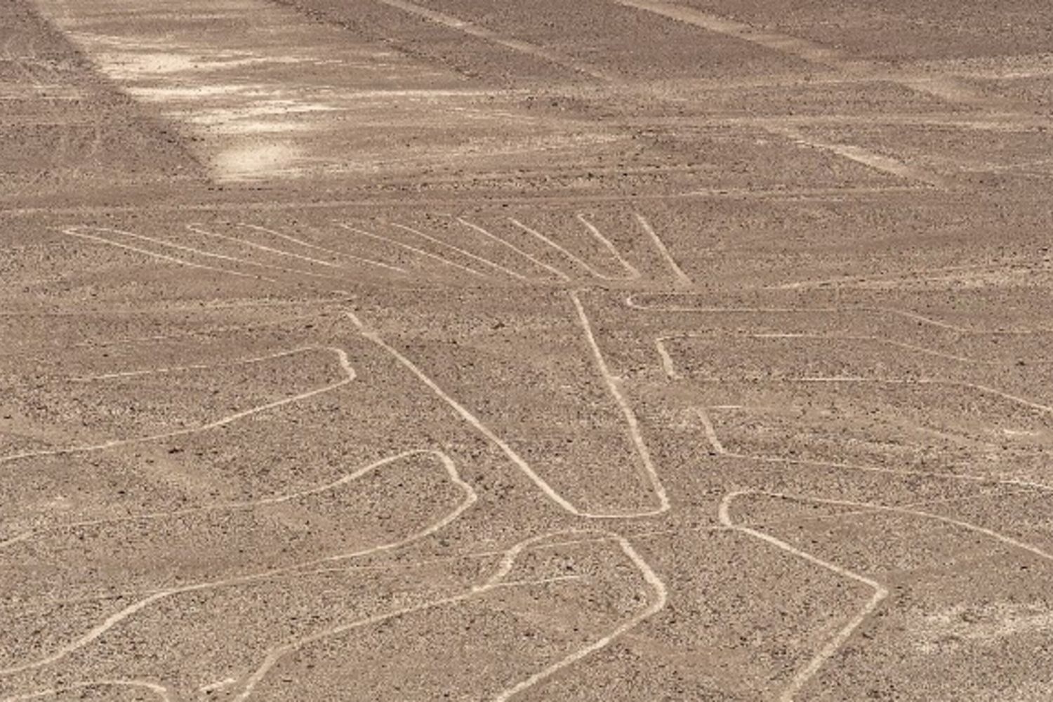 Linee di Nazca