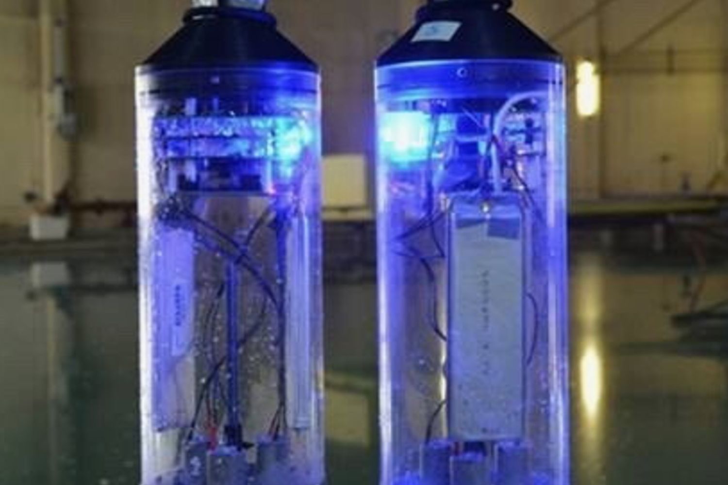 Cnr: pesci robot alla conquista dell'arsenale di Venezia&nbsp;