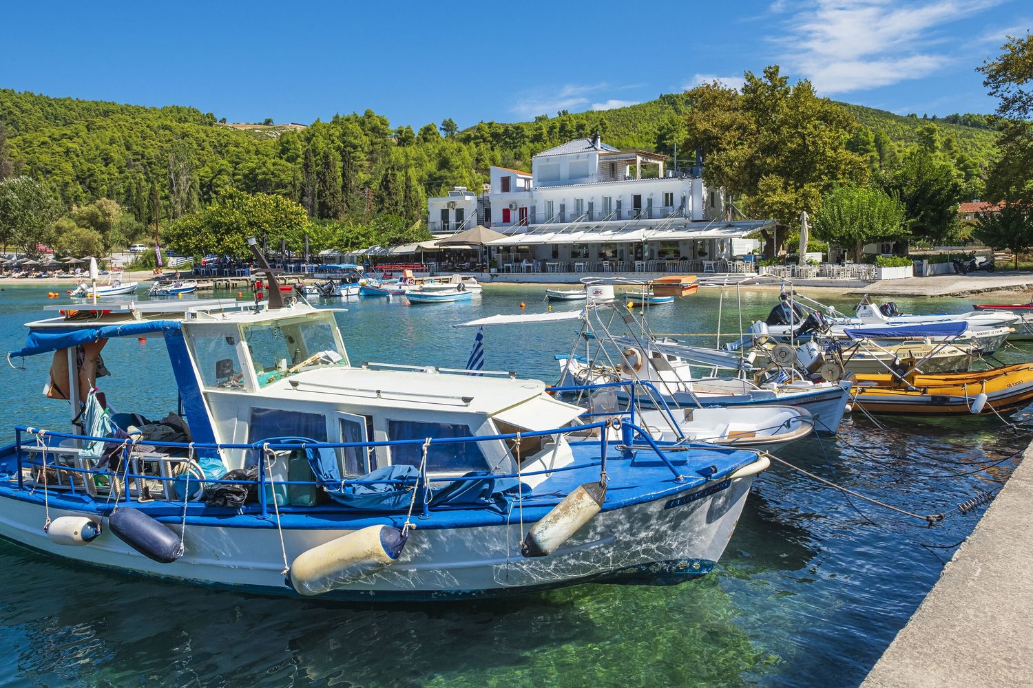 L'isola di Skopelos in Grecia