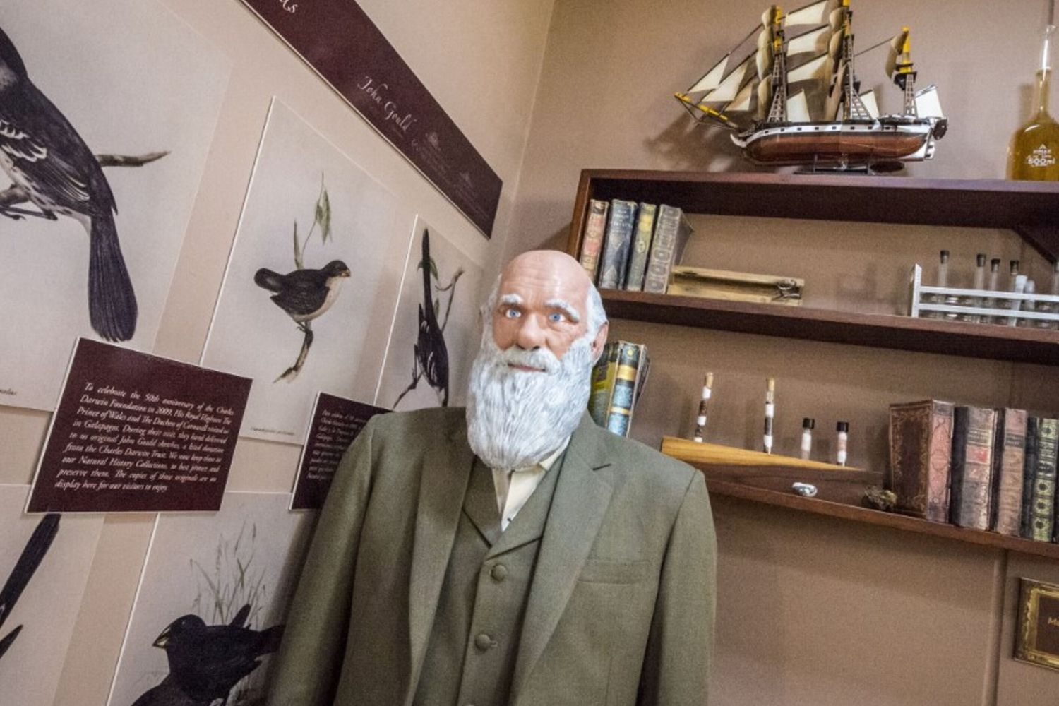 Darwin aveva ragione su questa pianta alpina... è davvero carnivora