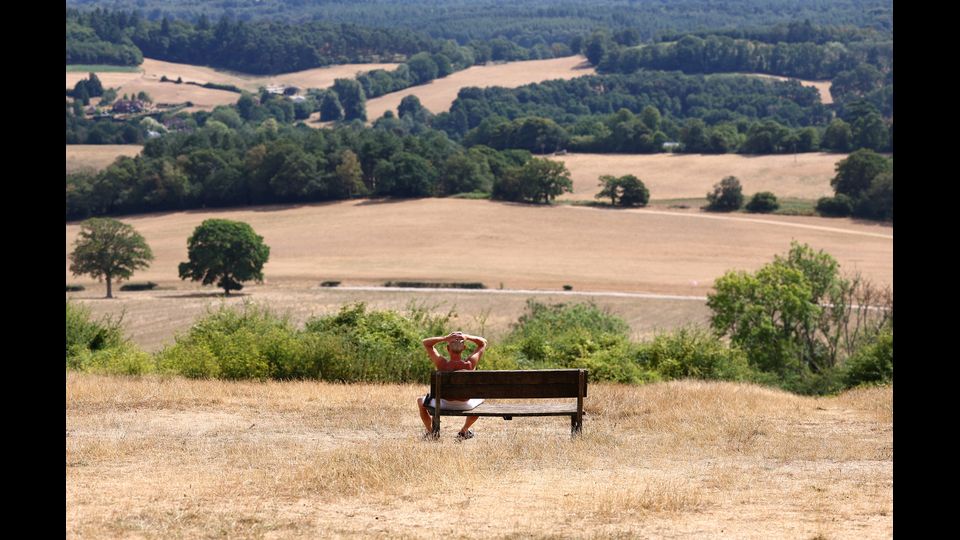Newlands Corner, Guilford