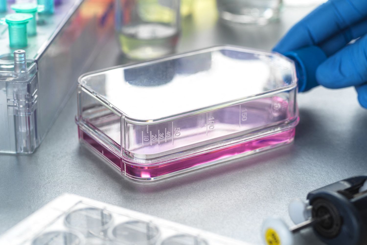 Lo studio sulle cellule tumorali