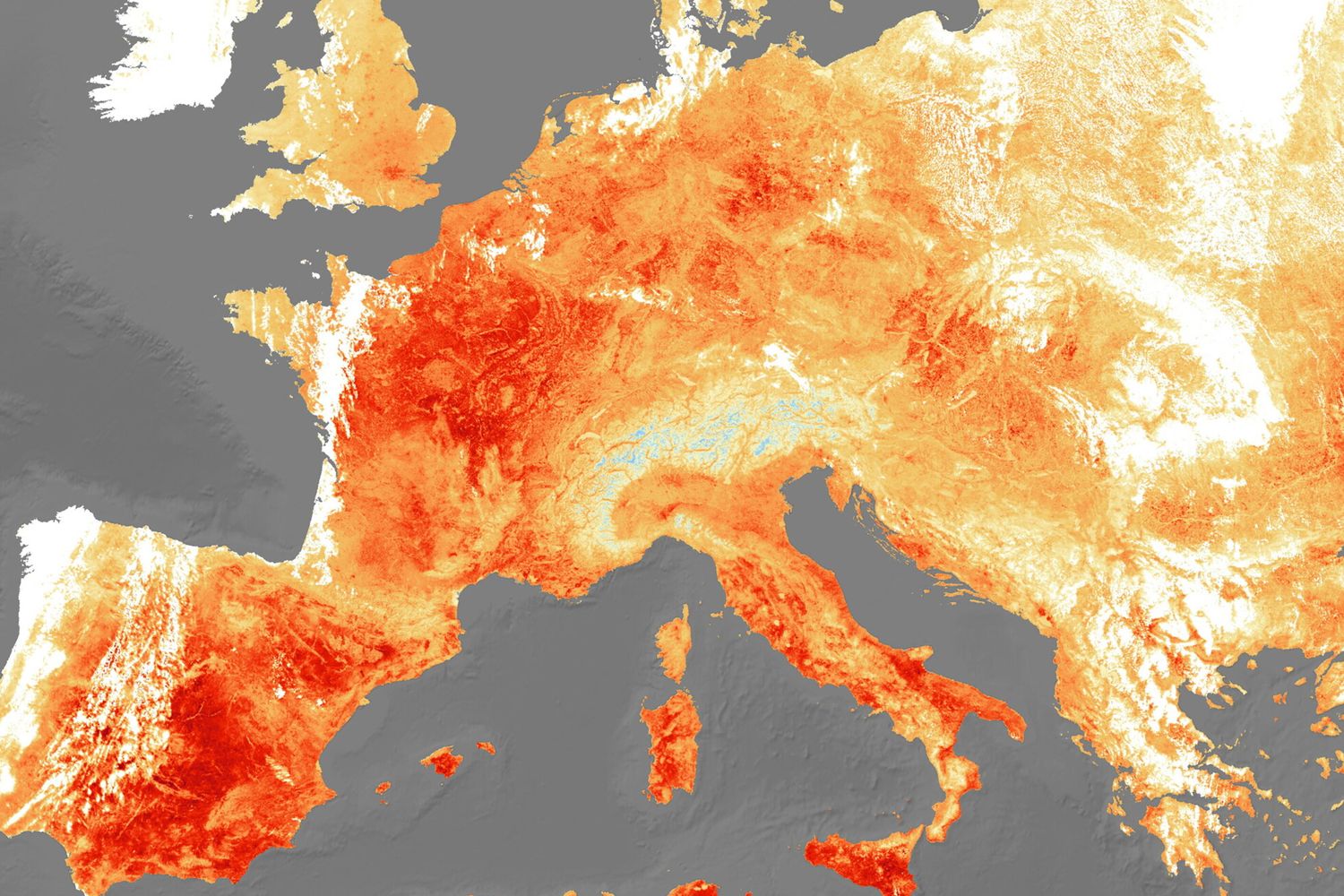 Meteo, picco del caldo e bollini rossi in Italia