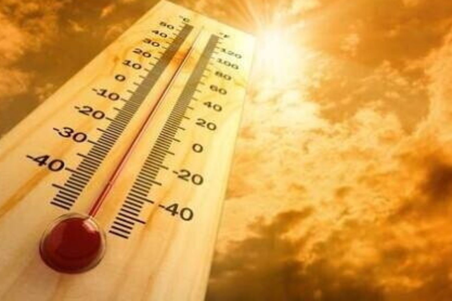 caldo