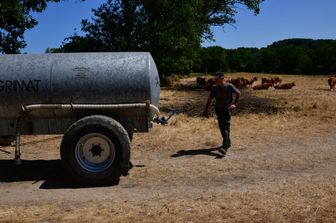 Un contadino francese usa un'autobotte per dare da bere al bestiame
