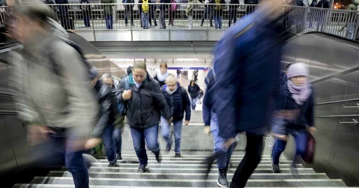 Climbing Stairs Daily Cuts Cardiovascular Death Risk by 39%, Study Finds