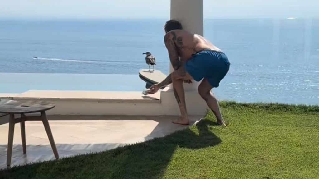 David Beckham dà da mangiare a un gabbiano