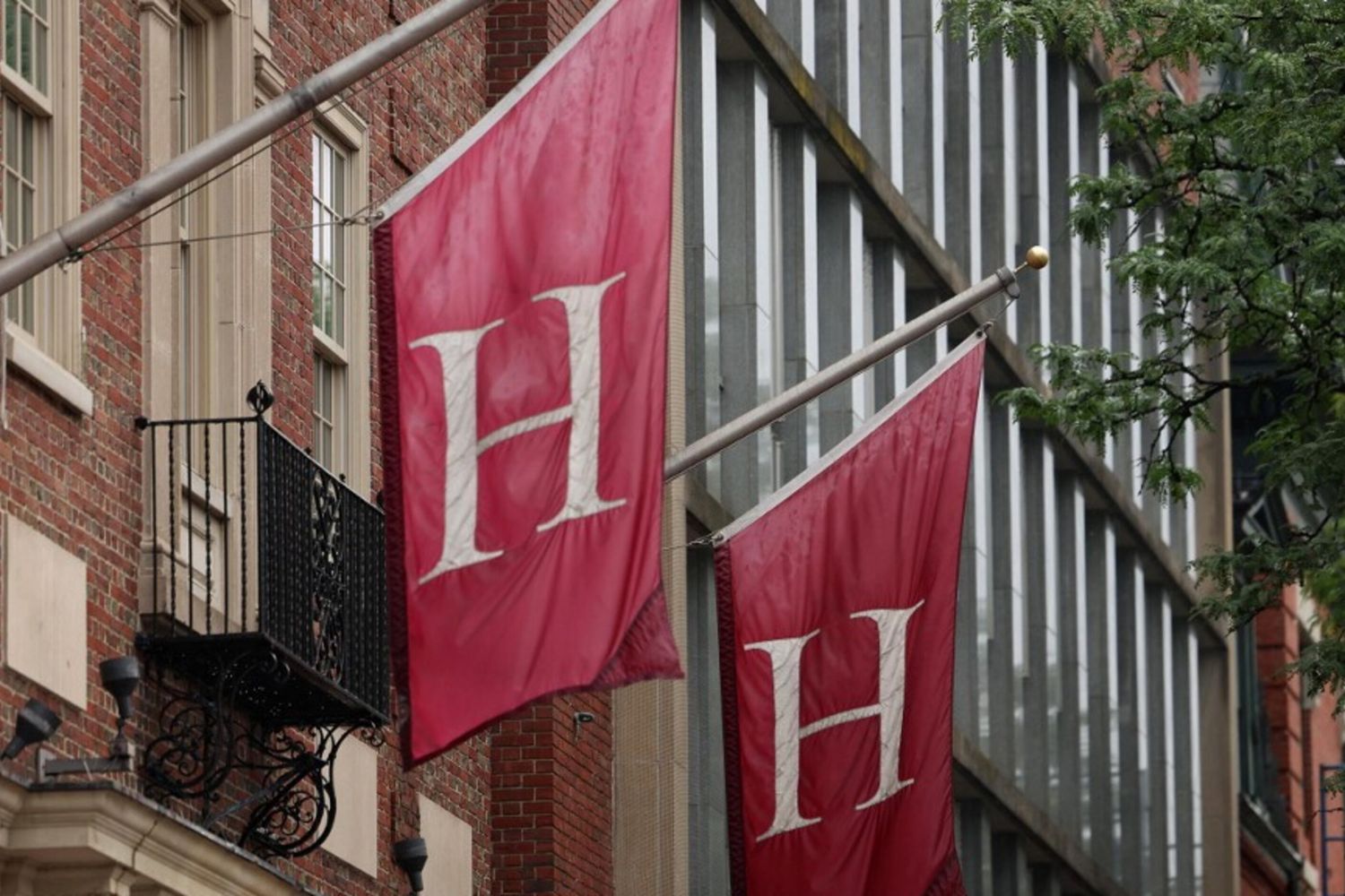 Furto di corpi dall'obitorio, Harvard pagherà 53 milioni di dollari