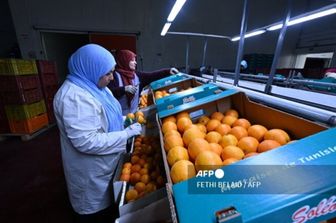 Tunisie: l’Italie premier fournisseur européen, exportations en hausse de 16,6 pour cent