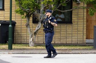 Poliziotto svedese