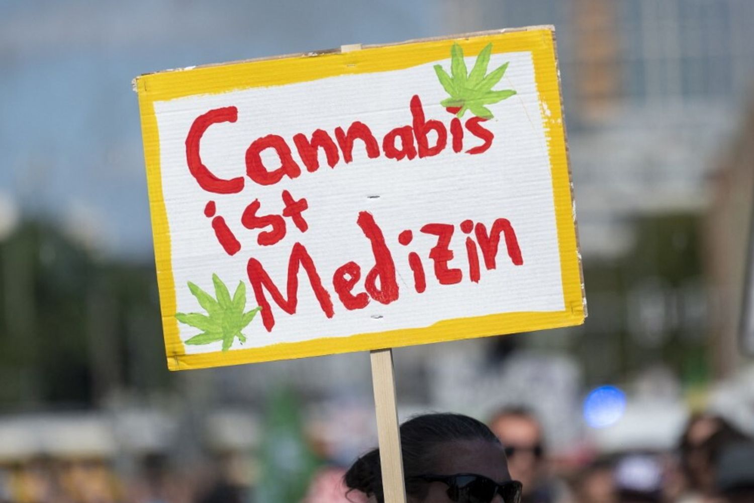 Cannabis, la Germania è il più grande mercato europeo regolamentato. Critiche alla legge e restrizioni in vista