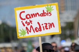 Cannabis, la Germania è il più grande mercato europeo regolamentato. Critiche alla legge e restrizioni in vista