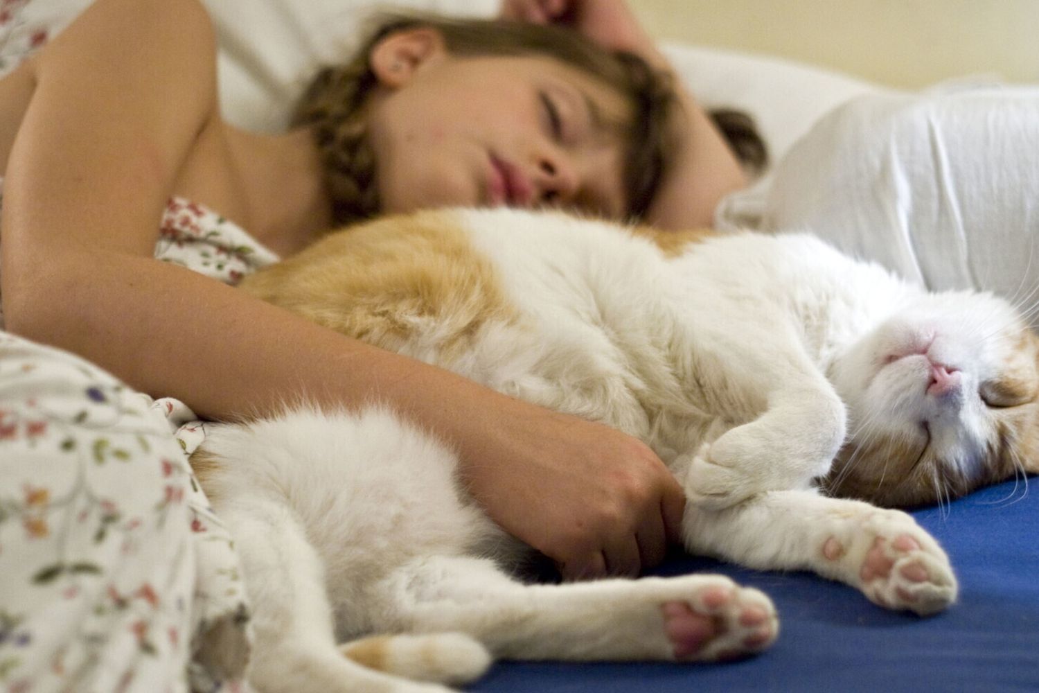 Il sonno profondo potenzia la memoria, ecco come