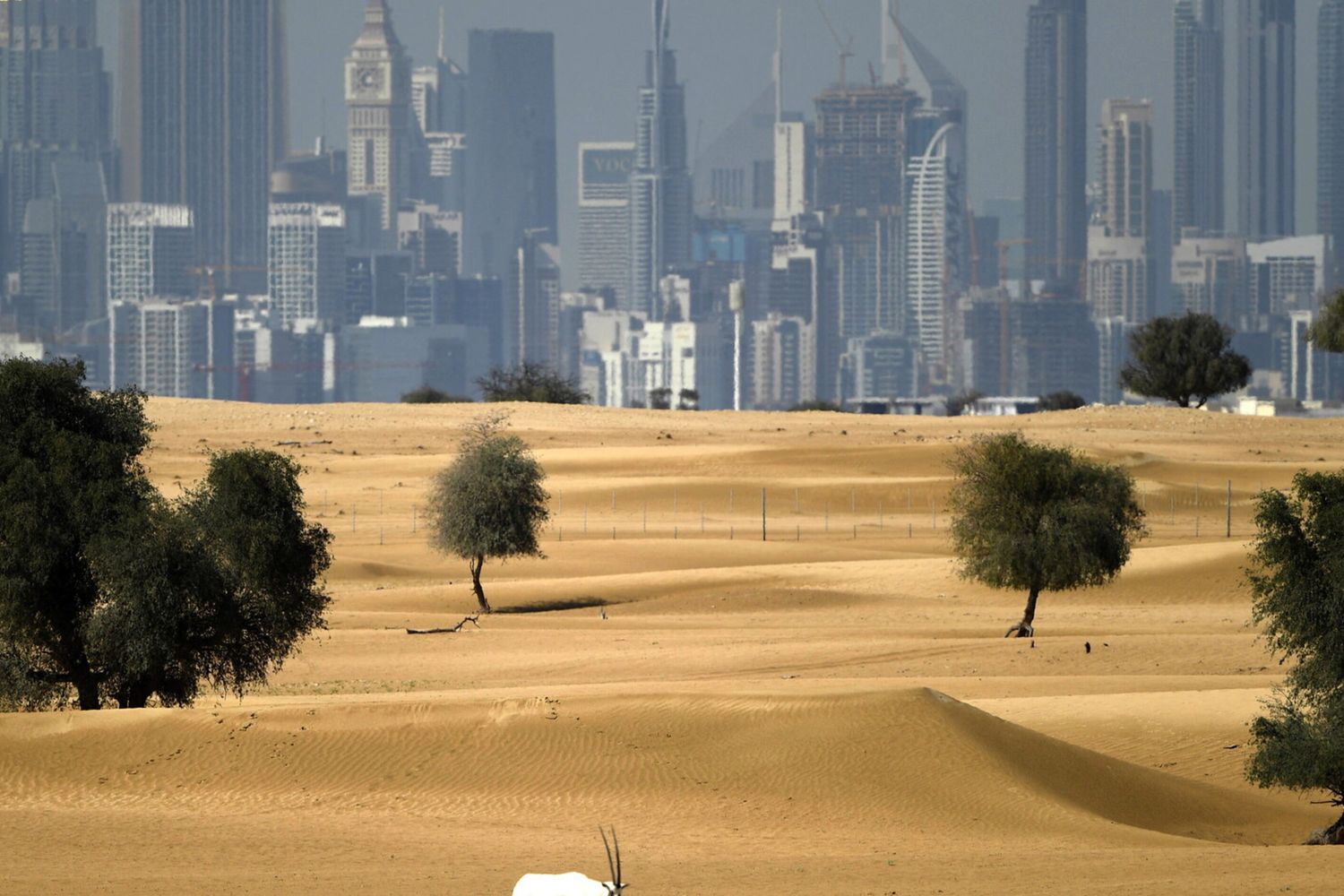 Dubai: escursione nel deserto a 50 gradi, morti due inglesi