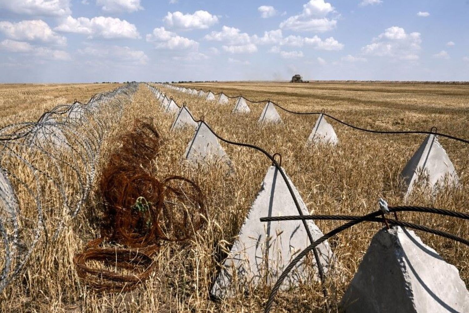 Una mietitrebbia raccoglie cereali lungo il filo spinato in un campo vicino a Orikhiv, nella regione di Zaporizhzhia in Ucraina