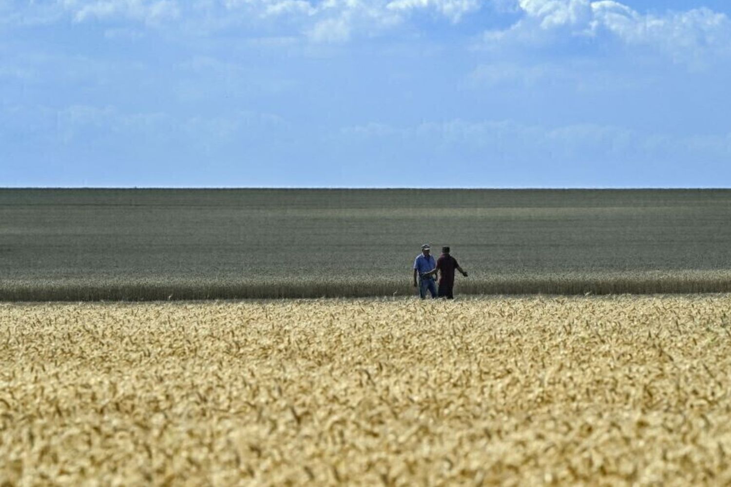 Accord Bonifiche Ferraresi-Congo pour un projet développement agricole durable