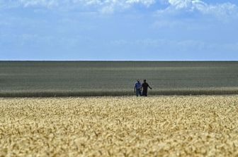 Accord Bonifiche Ferraresi-Congo pour un projet développement agricole durable