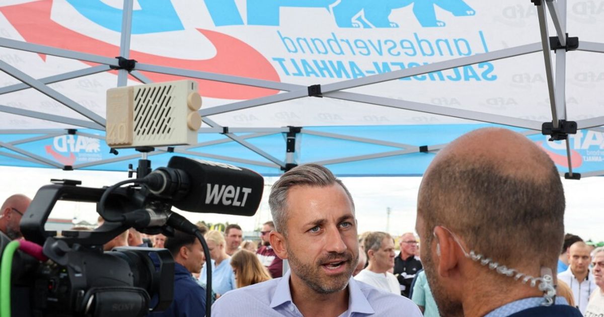 Manifesti elettorali in strada a Magdeburgo, con slogan contro l'immigrazione e per il futuro del governo