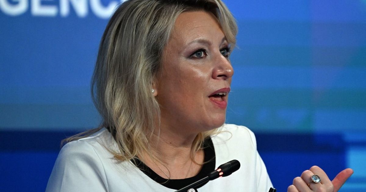 Anteprima: Fedorov consulente di Crosetto? Zakharova: "Scelta ridicola" e cita Gianni Rodari