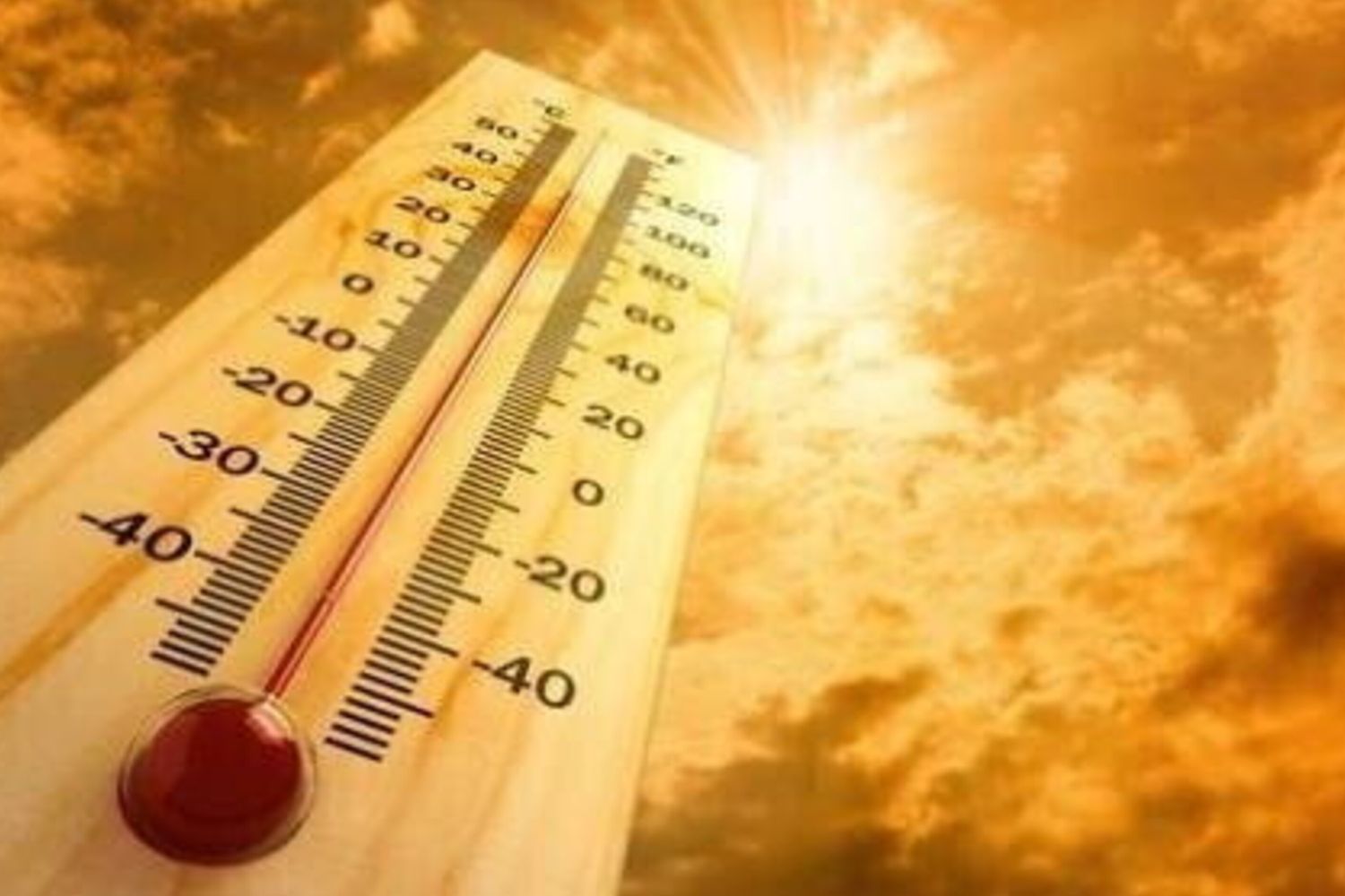 caldo