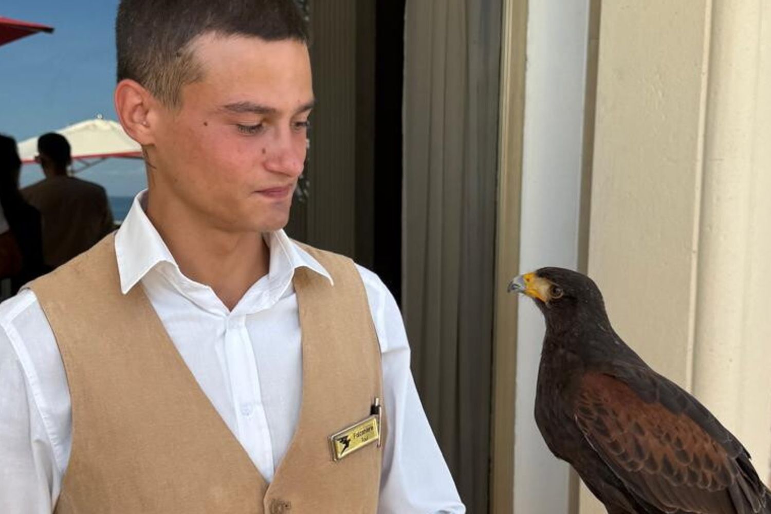 Il falconiere Raul Bottezzato con una Poiana di Harris
